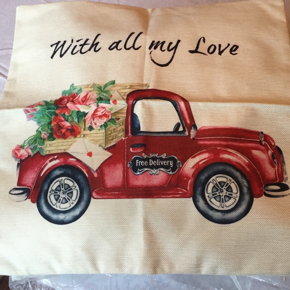 Pillow cover 18 x 18” zip closure NEW